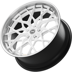DL01-M — DR Forged